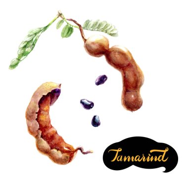 Demirhindi suluboya resim