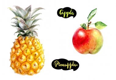 Elma, ananas suluboya resim