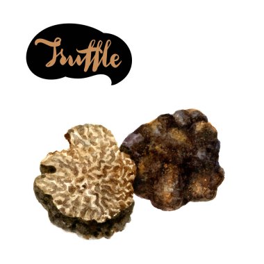Truffle suluboya resim