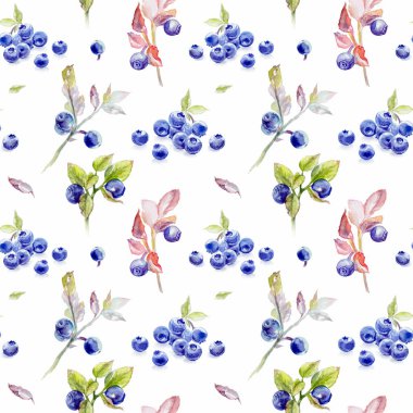 Yaban mersini suluboya desen