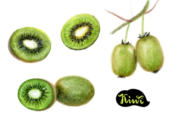 Ilustración de fruta Kiwi —  Fotos de Stock