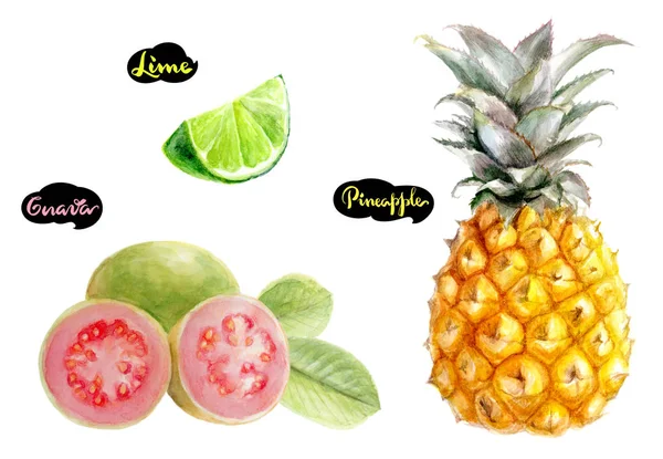 Guava, limon, ananas — Stok fotoğraf