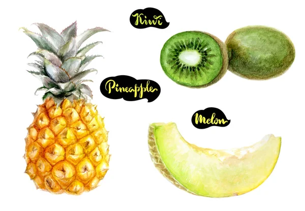 Kivi, ananas, kavun — Stok fotoğraf