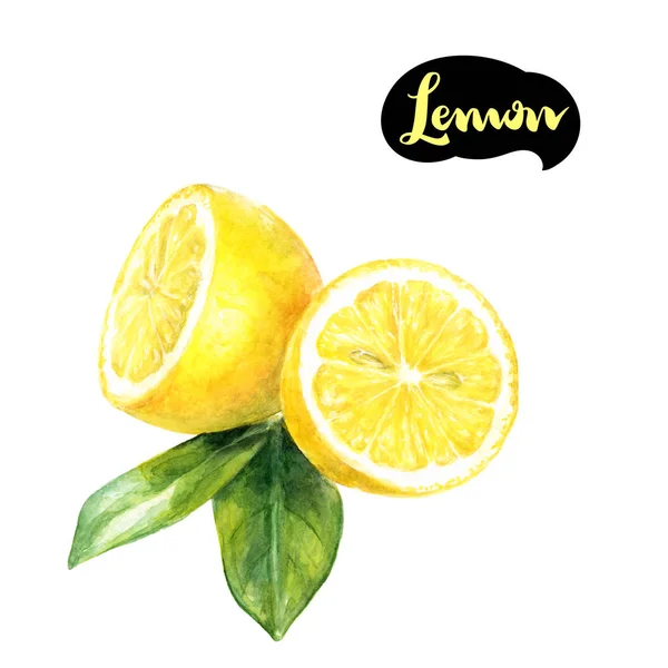 Lemon watercolor illustration — Stock Photo, Image