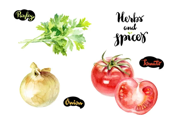 Петрушка, лук и помидоры — стоковое фото