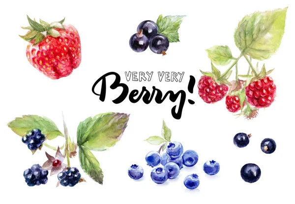 Berries watercolor set — Stock Photo, Image