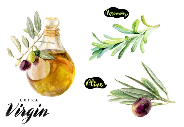 Olio d'oliva, ramo d'oliva e rosmarino — Foto Stock