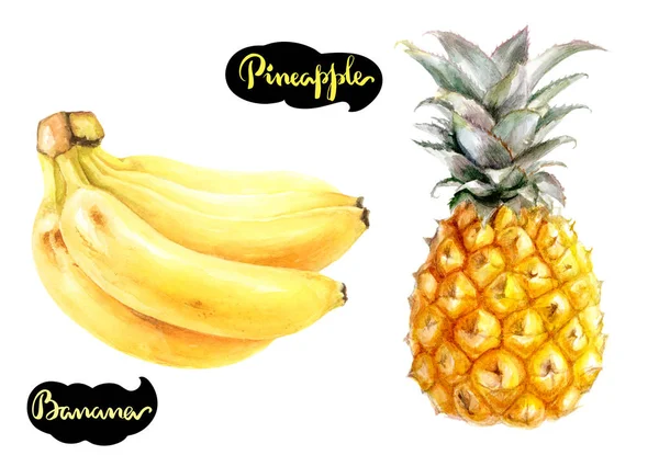 Banaan, ananas aquarel illustratie — Stockfoto