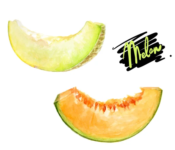 Melón acuarela ilustración —  Fotos de Stock