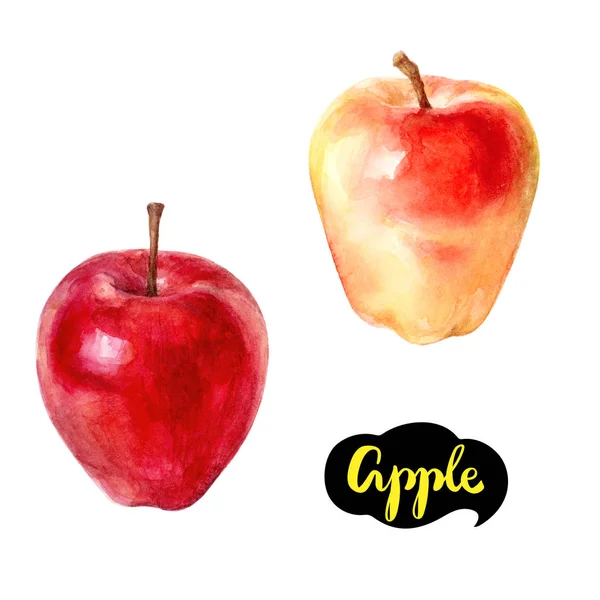 Apple ilustração aquarela — Fotografia de Stock