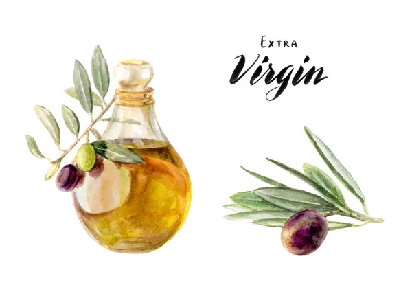 Olivový olej a olivovou ratolestí ilustrace — Stock fotografie