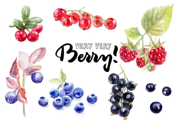 Berries watercolor set — Stock Photo, Image