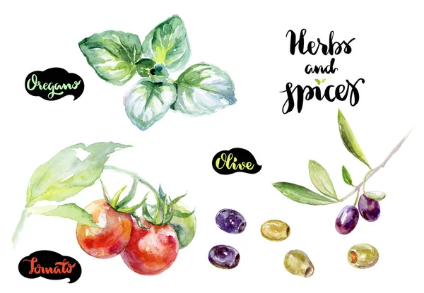 Орегано, помідори та оливки — стокове фото