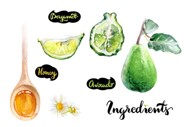 Avocado Aquarell Illustration — Stockfoto