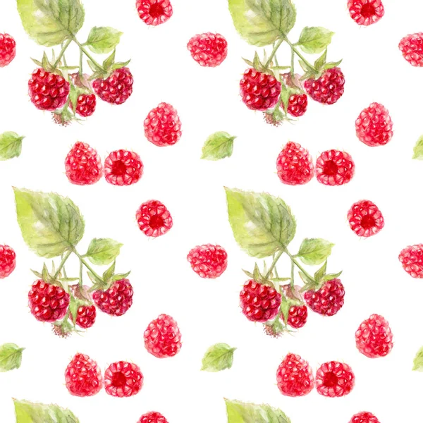 Raspberry aquarel patroon — Stockfoto