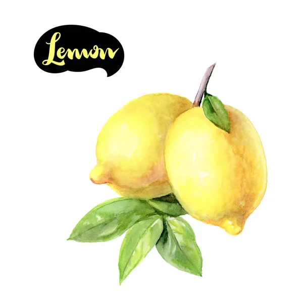 Лимонний аквареллю ілюстрація — стокове фото