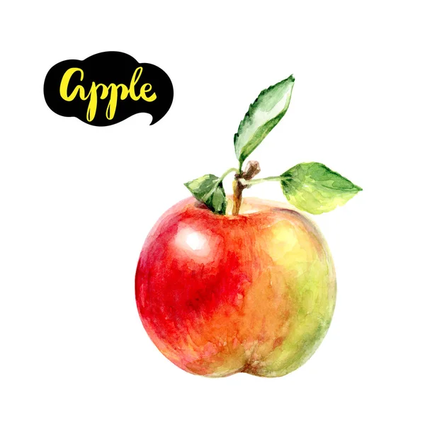 Apple aquarel illustratie — Stockfoto