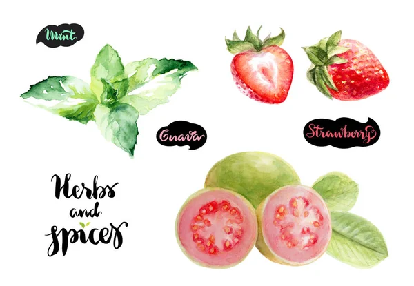 Guava, fragole e menta — Foto Stock