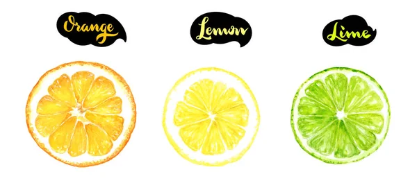 Orange, lemon, lime slices — Stock Photo, Image