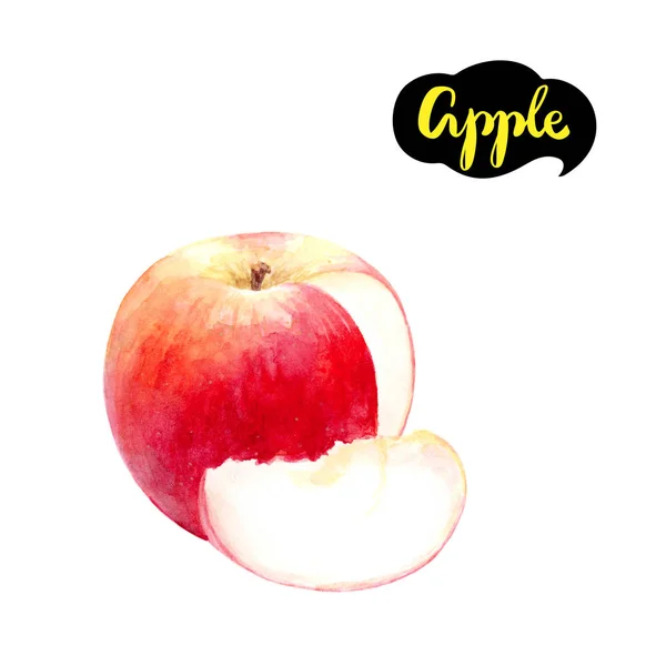 Apple watercolor illustration — Stock Photo, Image