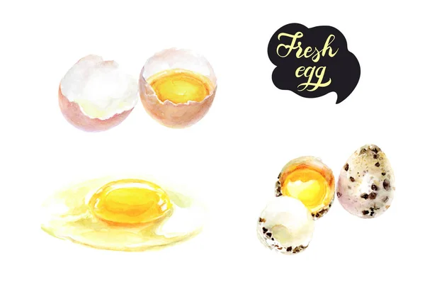 Akwarela ilustracja jaja świeże. — Zdjęcie stockowe