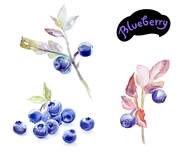 Blueberries aquarela ilustração — Fotografia de Stock