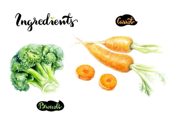 Морква і брокколі акварельна ілюстрація — стокове фото