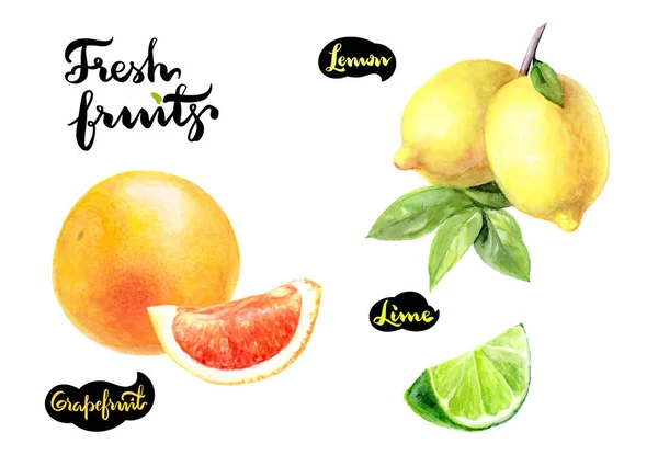 Grapefrukt, citron och lime — Stockfoto