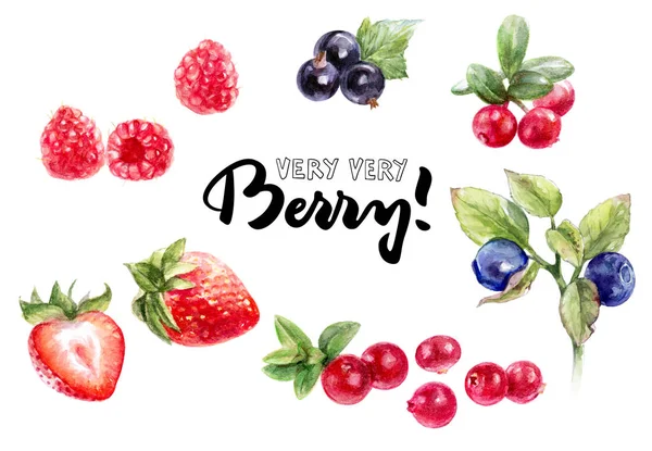 Beeren Aquarell Set — Stockfoto