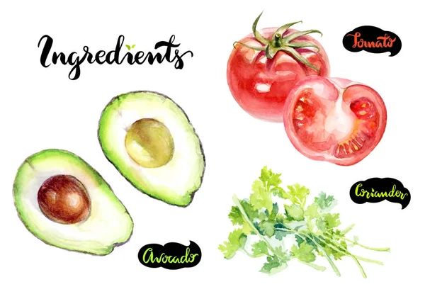 Avocado, ketumbar dan tomat — Stok Foto