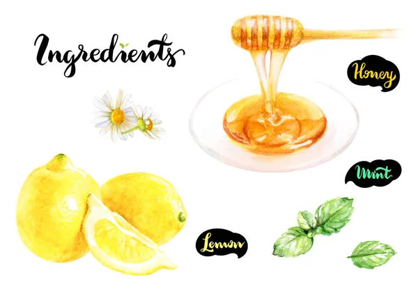 Cazadora de miel, corte de limón, menta —  Fotos de Stock