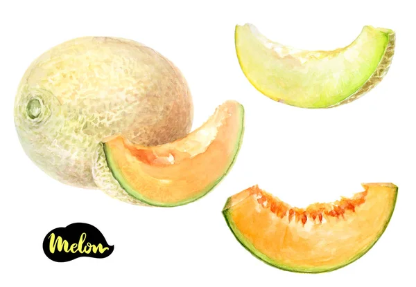 Melón acuarela ilustración —  Fotos de Stock