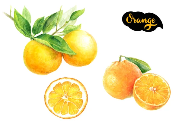 Оранжевий плід цитрусового — стокове фото