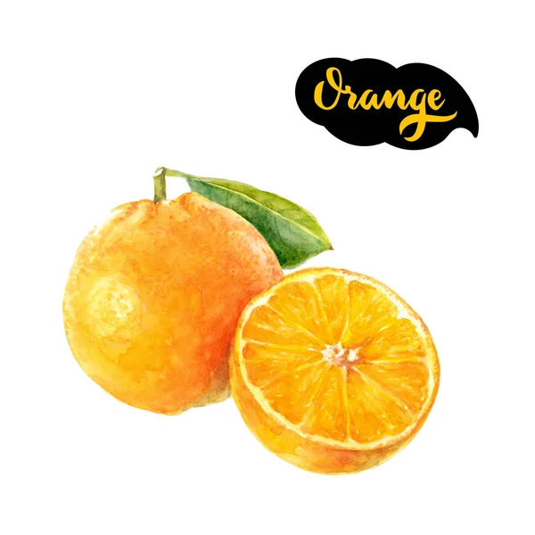 Оранжевий плід цитрусового — стокове фото
