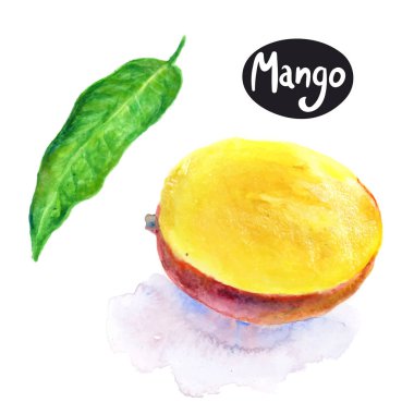 Mango meyve yaprak ile