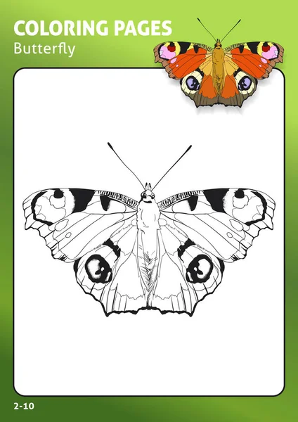Tropische Schmetterling Malseite — Stockvektor