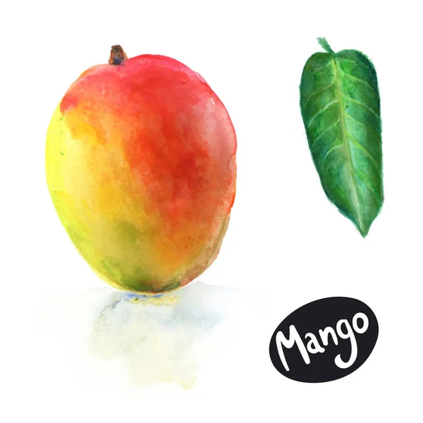 Fruta de manga com folha — Vetor de Stock