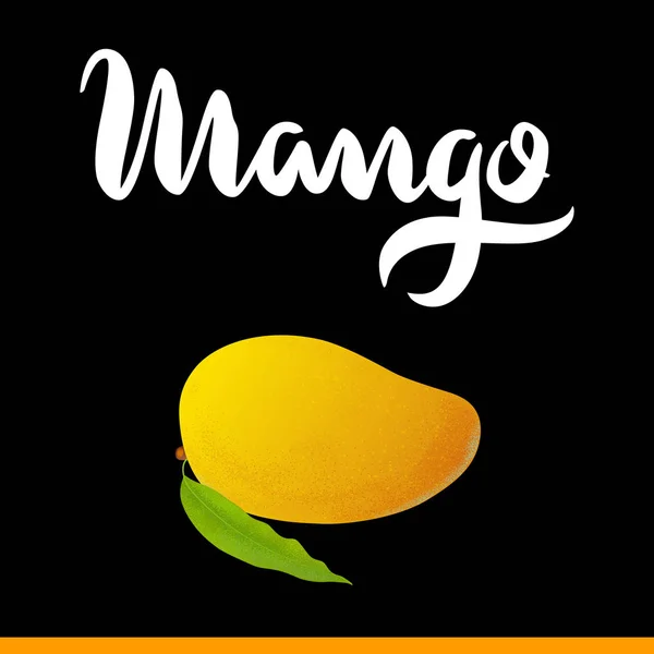 Banner mit Mangofrüchten — Stockvektor