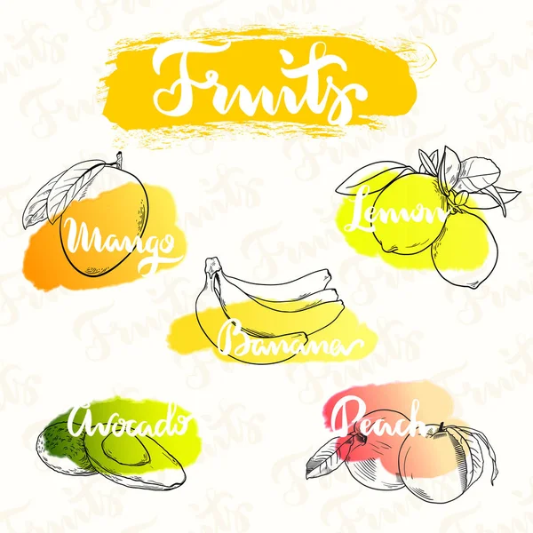 Mangue, citron, banane, avocat et pêche — Image vectorielle