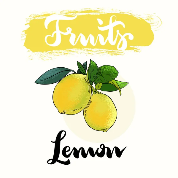 Design de rótulo de limão — Vetor de Stock