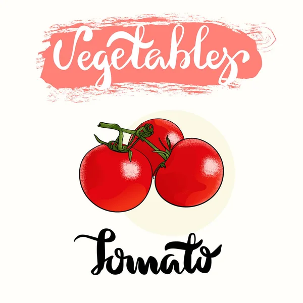 Diseño de etiqueta de tomate — Vector de stock