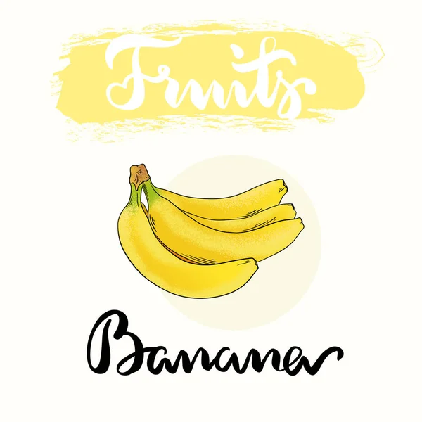 Banana Ilustración de frutas — Archivo Imágenes Vectoriales