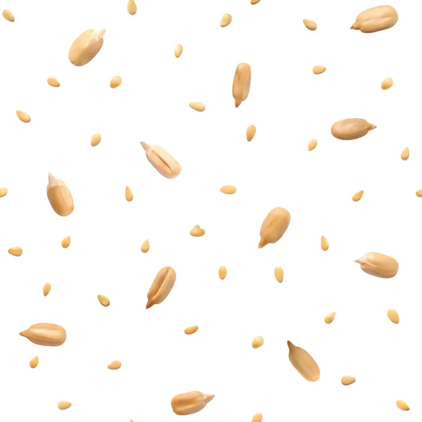 Graines de sésame et de tournesol — Image vectorielle