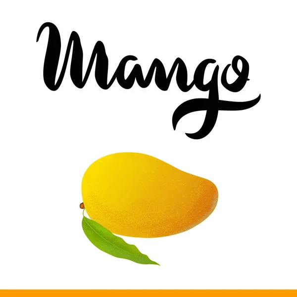 Banner mit Mangofrüchten — Stockvektor