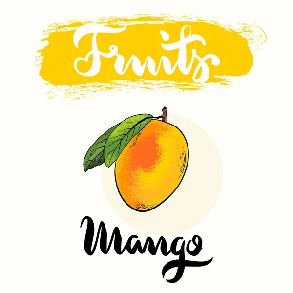 Banner de frutas de manga — Vetor de Stock