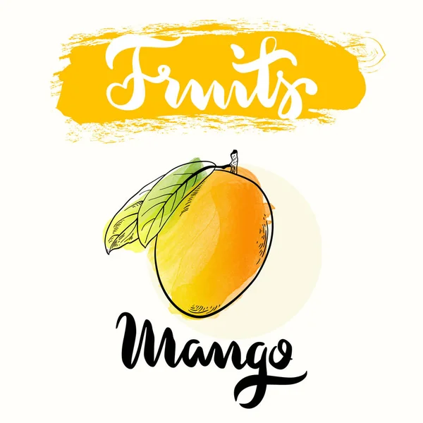 Banner de frutas de manga — Vetor de Stock