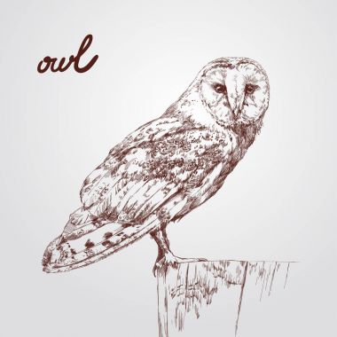 Yazdırma peçeli baykuş gözleri