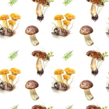 mantar seamless modeli