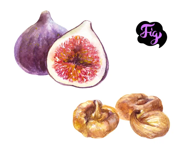 Fig cut, whole, dry figs — Stock Photo, Image