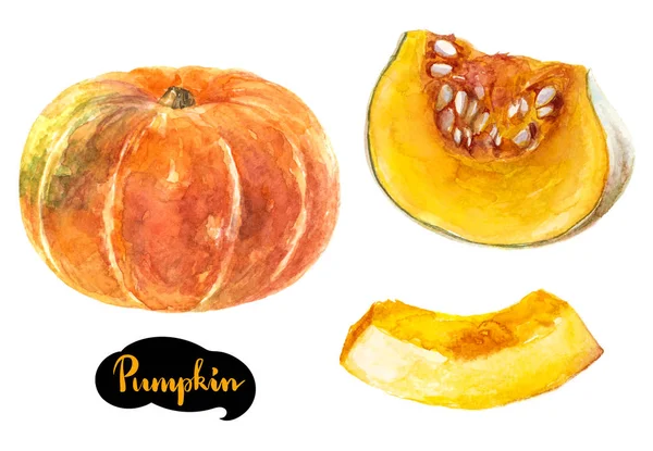 Tohum ile kesilmiş kabak bütün, dilim